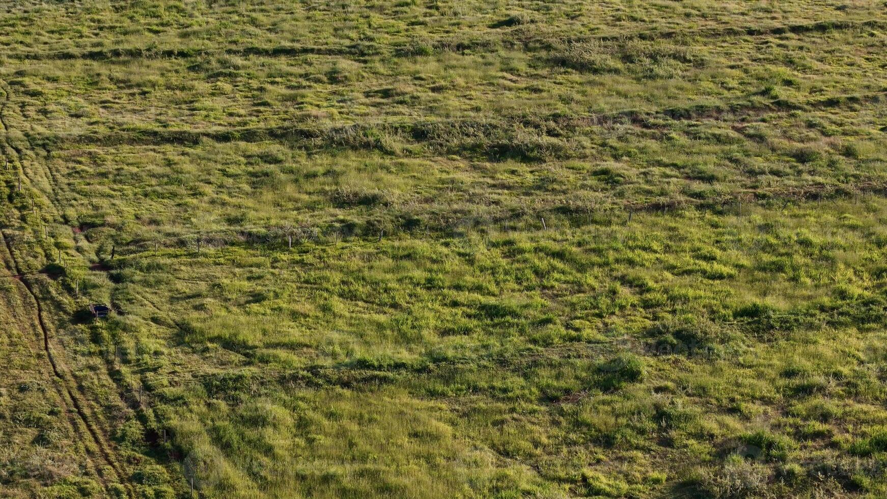 pascolo la zona con contorno Linee nel campo foto