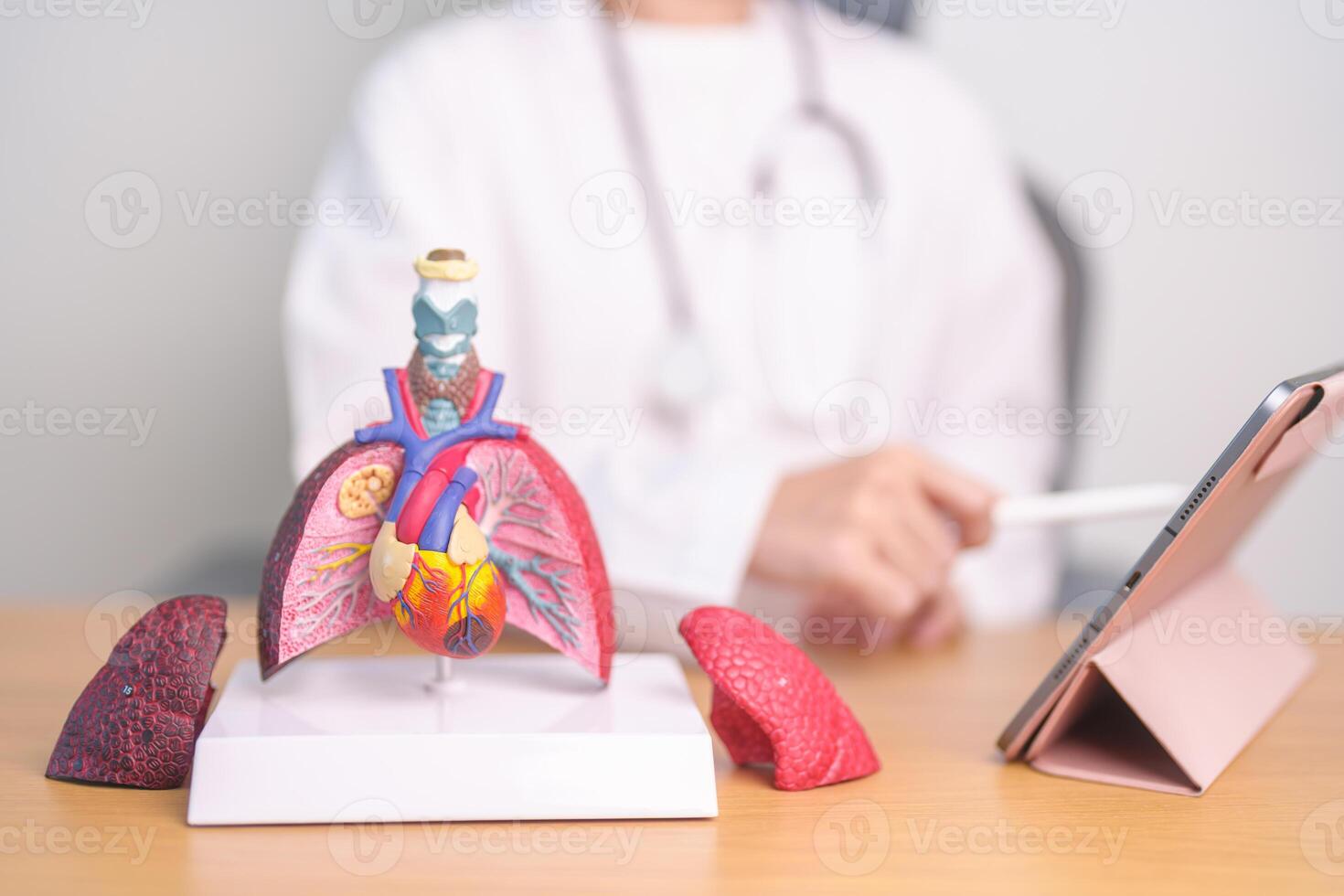 medico con cuore cardiovascolare e respiratorio anatomia per patologia. polmone cancro, asma, cronico ostruttivo polmonare o BPCO, bronchite, enfisema, cistica fibrosi, bronchiectasie, polmonite foto