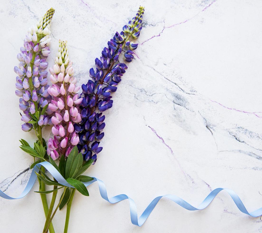 bordo di fiori di lupino rosa e viola foto