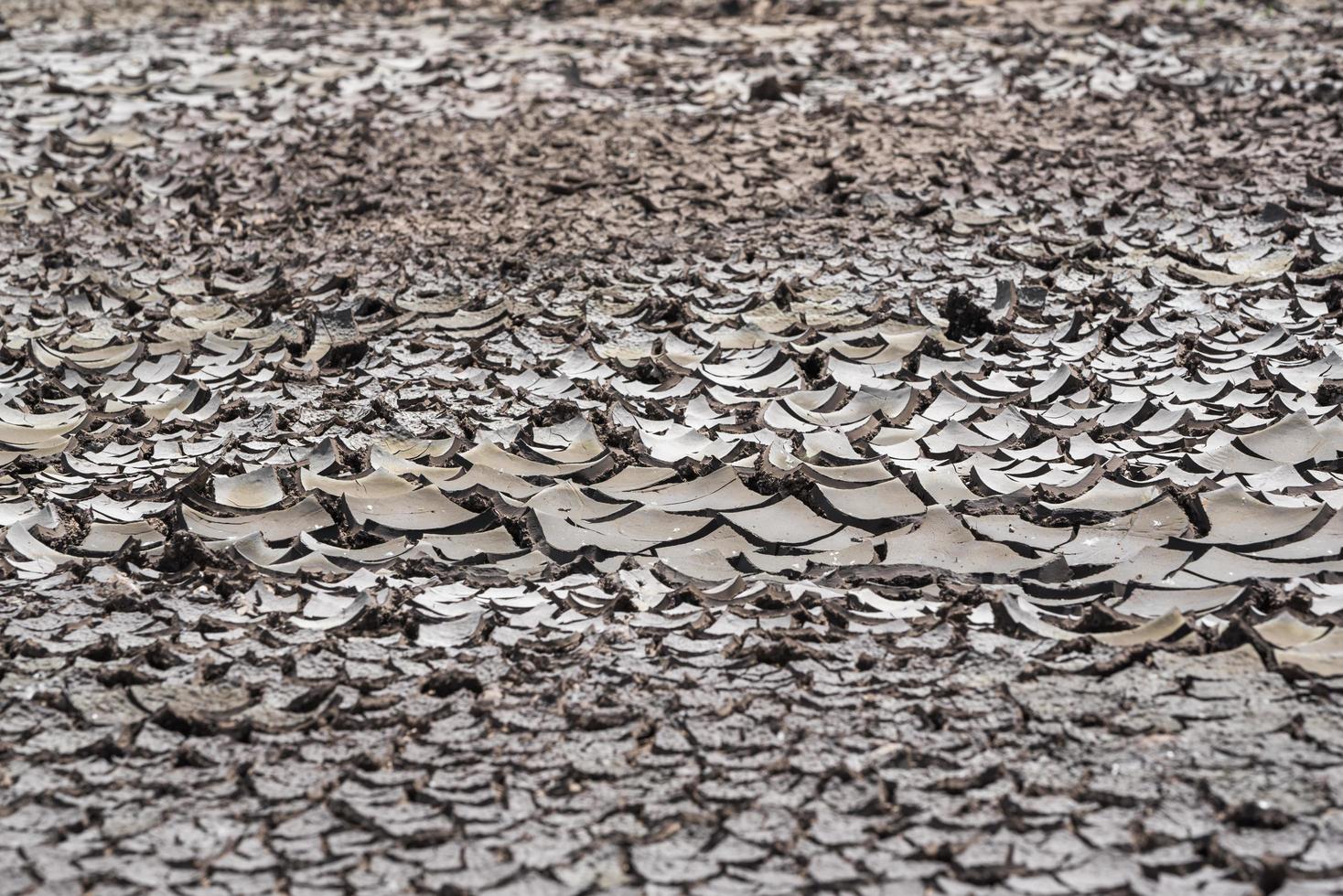 terreno asciutto senza piante da vicino foto