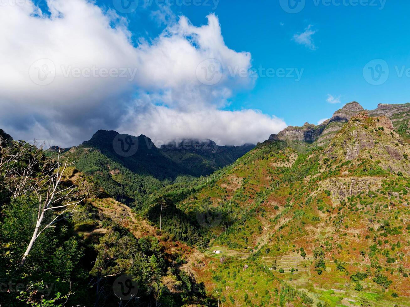 Visualizza di montagne su un' soleggiato giorno. bellissimo panoramico Visualizza di diverso montagna picchi. viaggio il mondo e vedere il bellezza di natura. foto