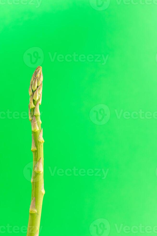 vivace verde asparago sta alto contro un' lussureggiante verde sfondo, esemplificativo freschezza e naturale bellezza. Perfetto per cibo e natura temi. foto