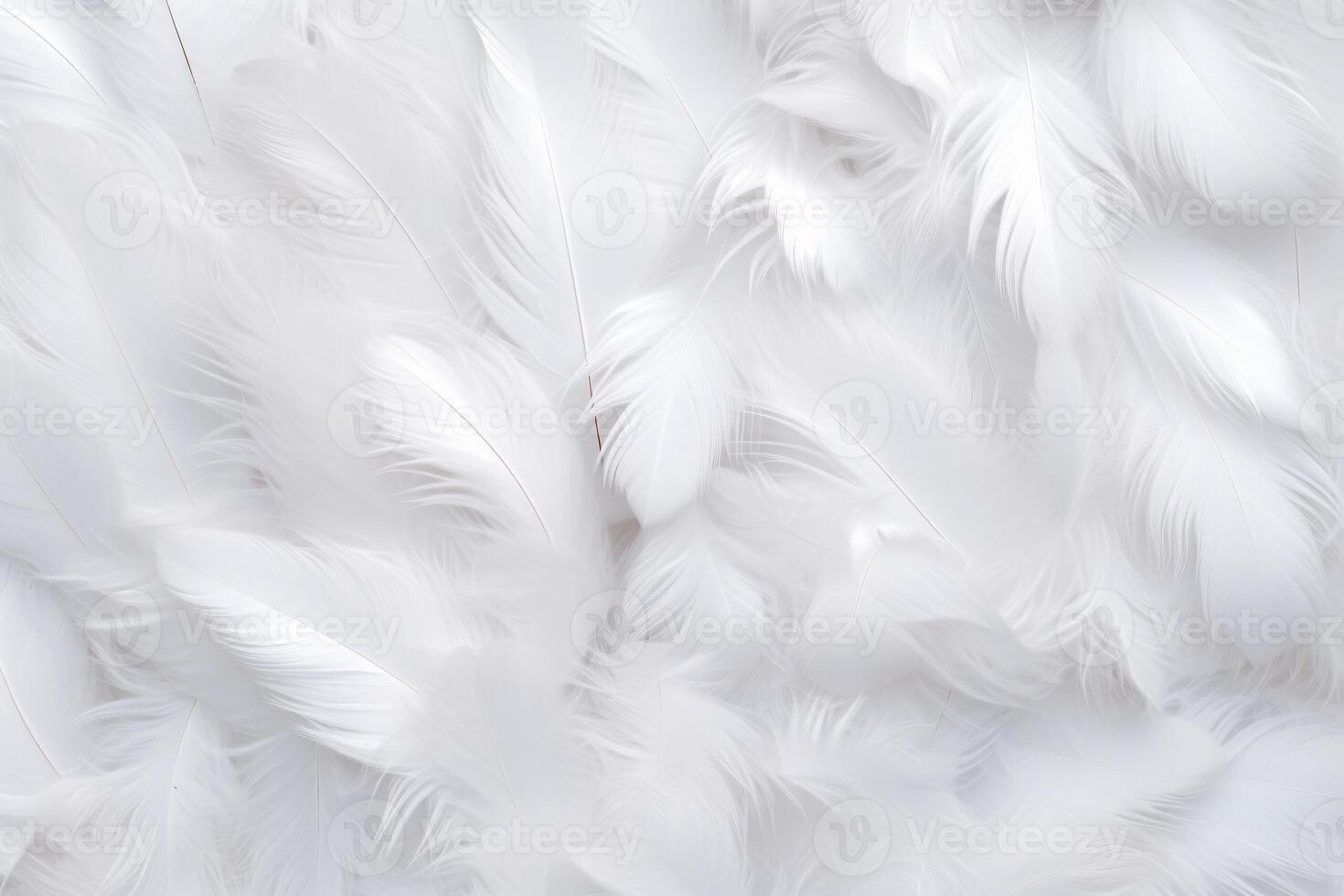 bianca morbido piume sfondo, bianca soffice piume modello, bellissimo piume sfondo, piume sfondo, uccello piume modello, foto
