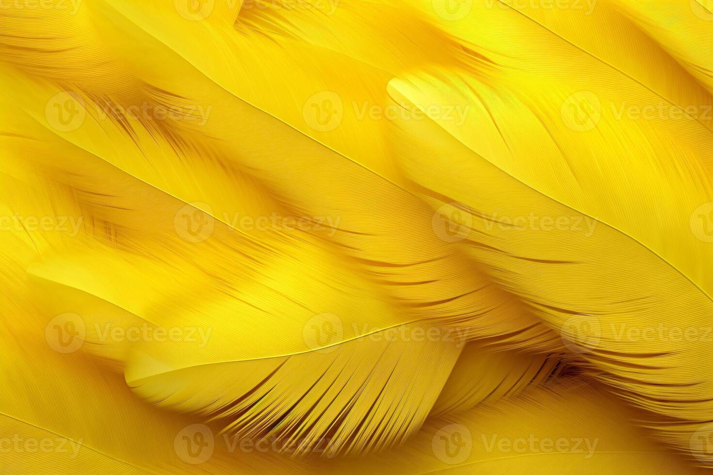 giallo piume sfondo, giallo piume modello, piume sfondo, piume sfondo, uccello piume modello, foto