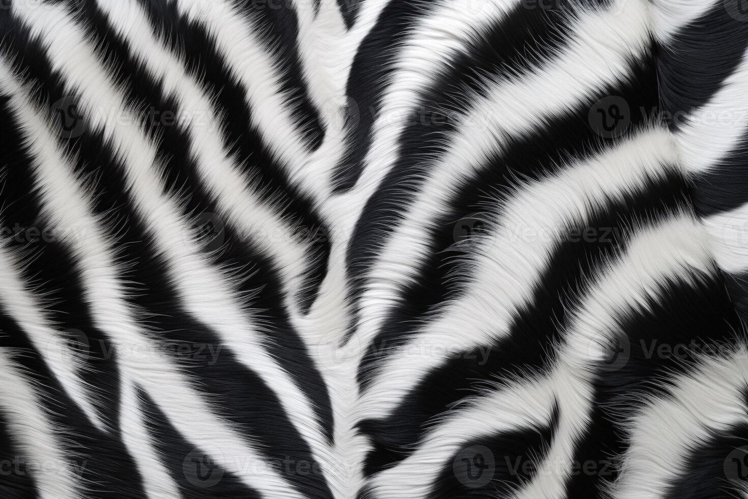 zebra pelle pelliccia struttura, zebra pelliccia sfondo, soffice zebra pelle pelliccia struttura, zebra pelle pelliccia modello, animale pelle pelliccia struttura, zebra Stampa, foto