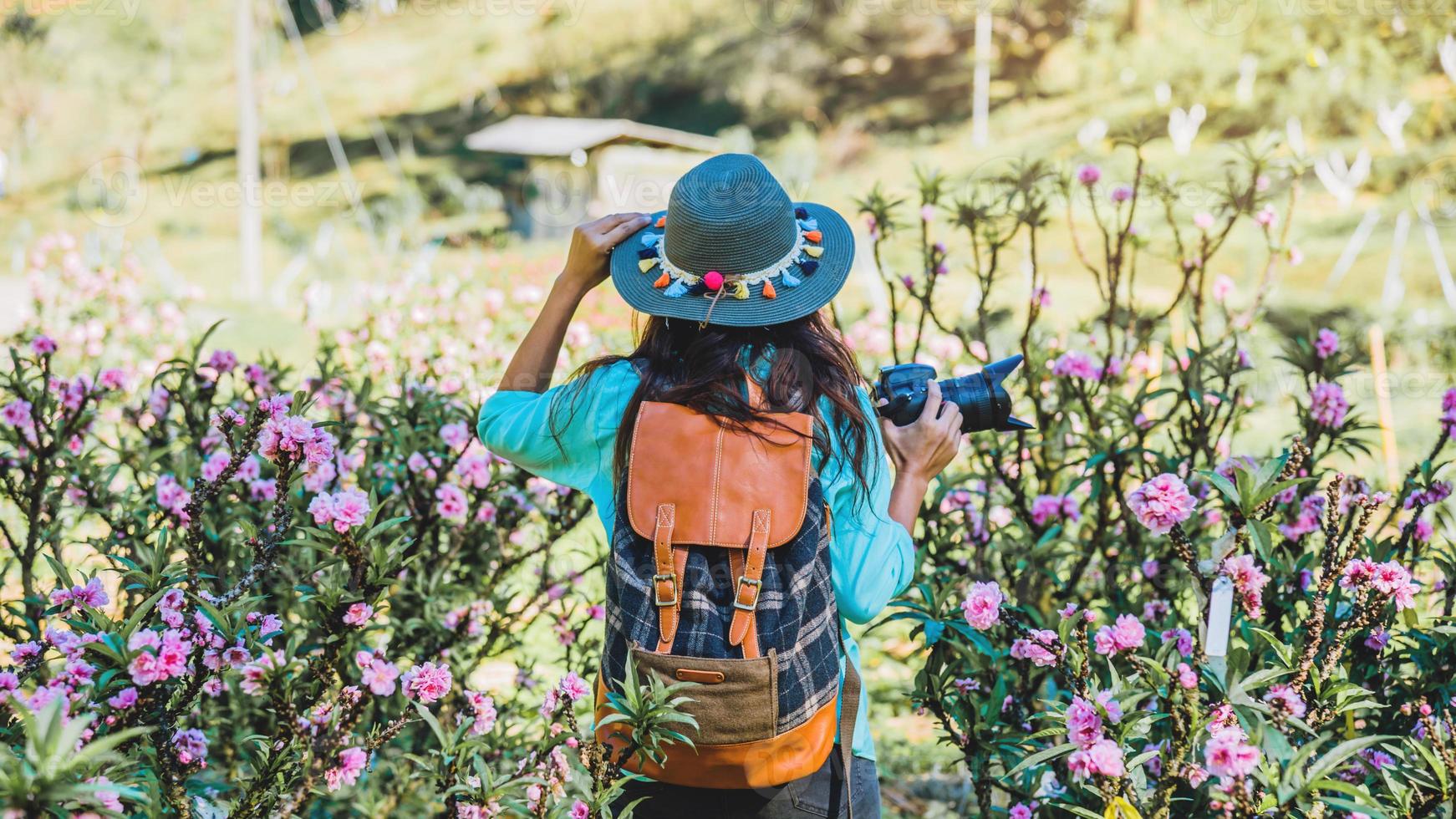 natura di viaggio donna asiatica. viaggiare rilassati. in piedi a fotografare bellissimi fiori di albicocca rosa nel giardino di albicocche. foto