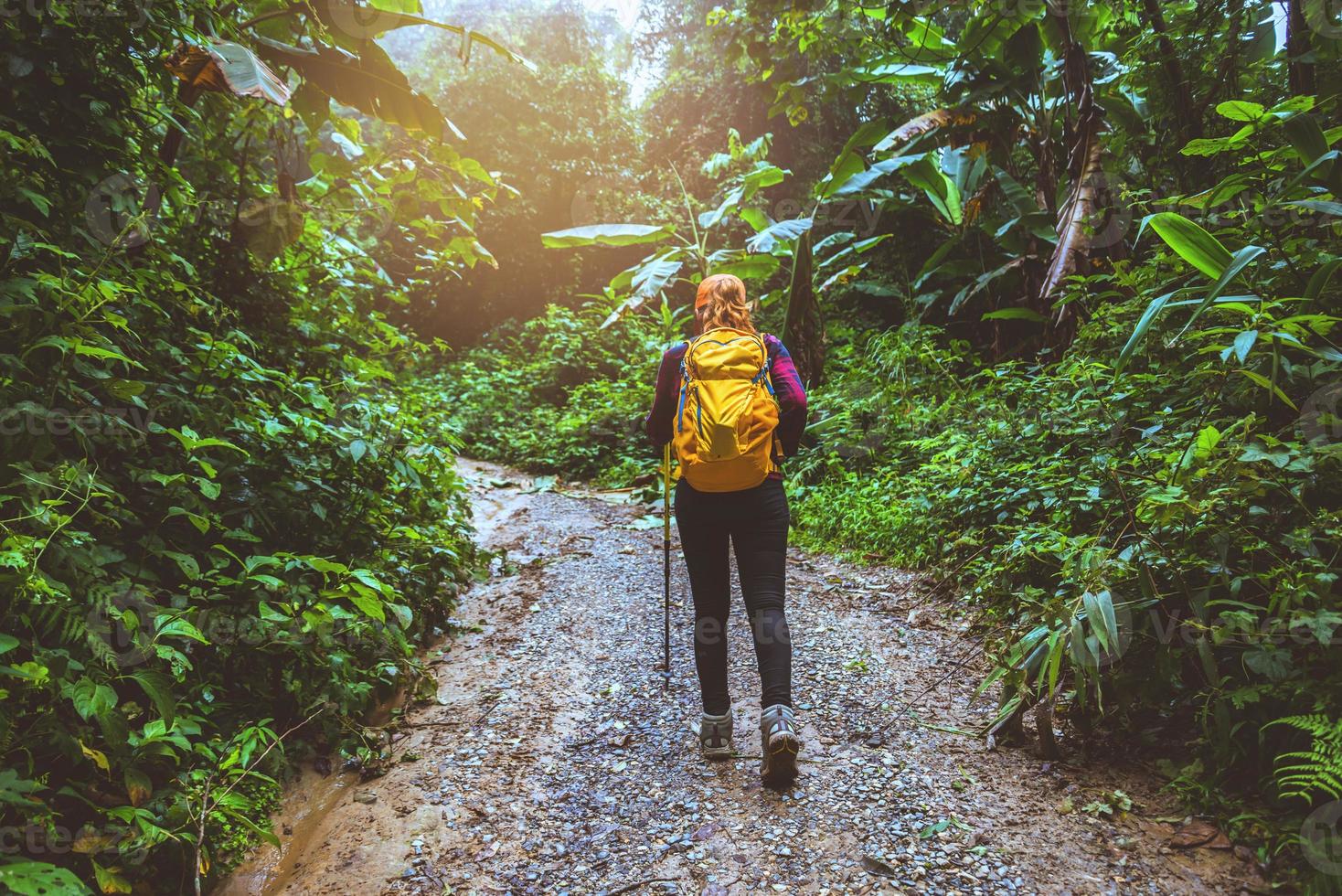 fotografo donna asiatica. viaggiare fotografia natura. viaggio relax nella vacanza passeggiata nella foresta. foto