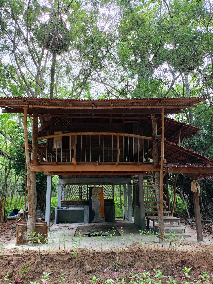 alloggio in famiglia di legno Casa rilassare nel Tailandia viaggio foto