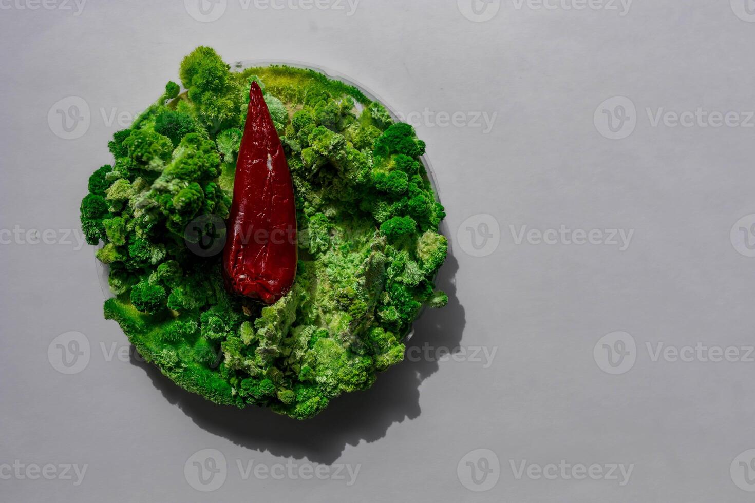 rosso paprica su verde muffa e muschio. foto