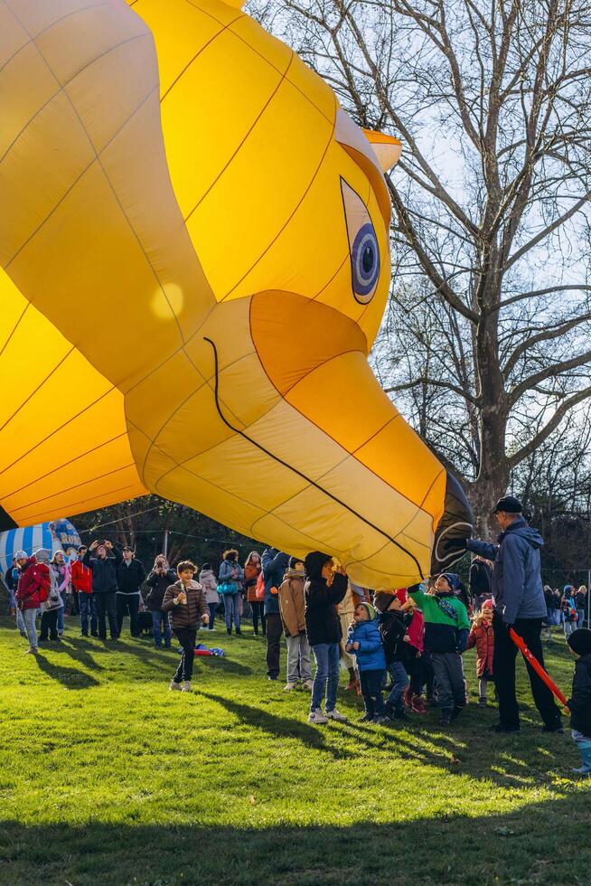 Ludwigsburg, Germania - marzo 23, 2024. c'è un' Palloncino Festival nel Germania. un' lotto di persone si riunirono foto