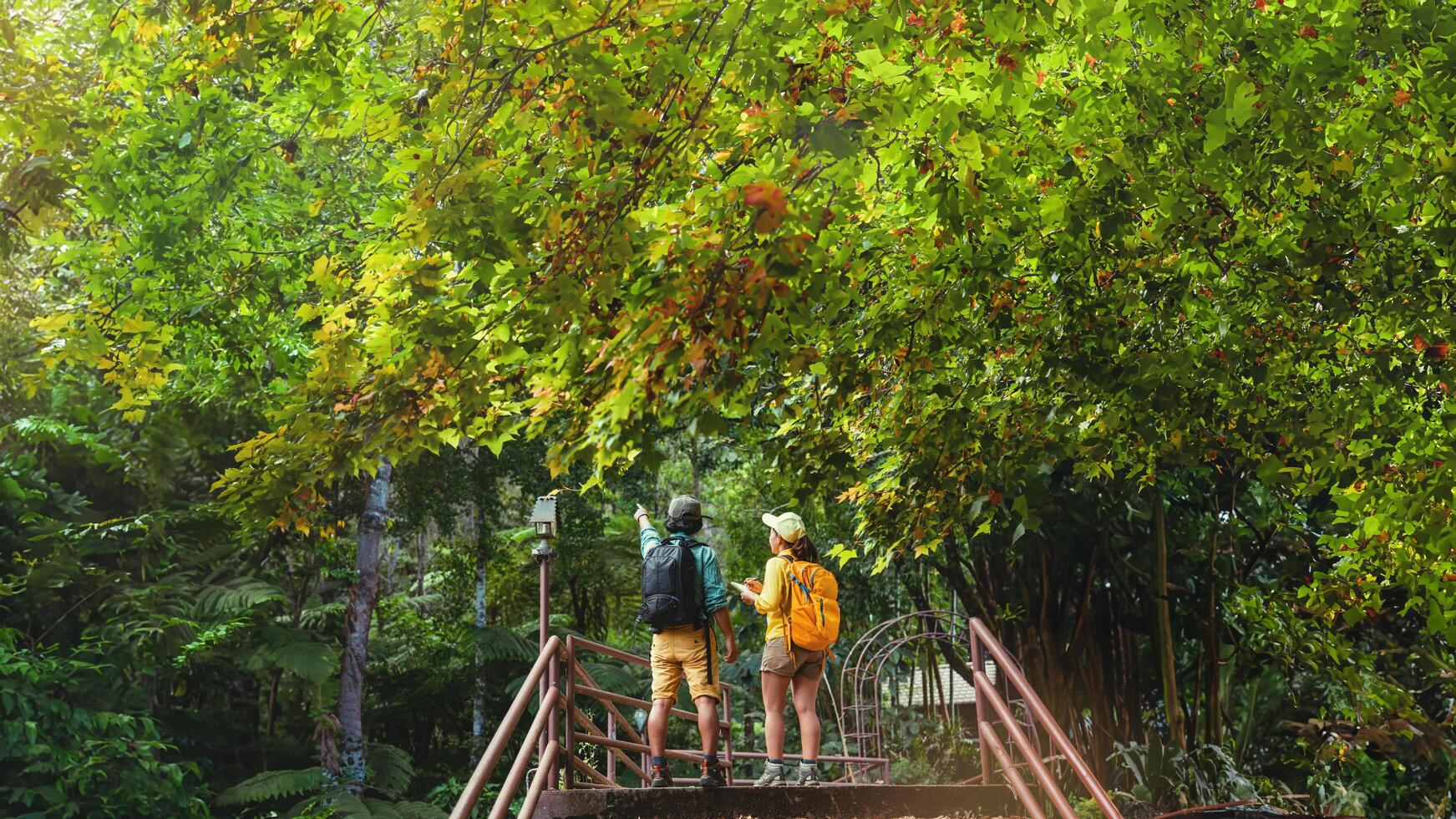 amante donna e uomo viaggio asiatico nature.travel relax. camminare e studiare la natura nella foresta. Tailandia foto