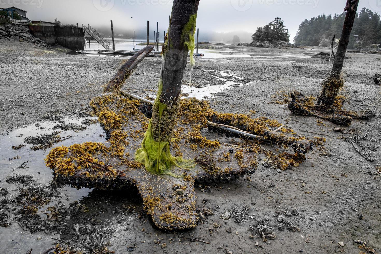 vecchie ancore con la bassa marea, sitka, alaska foto