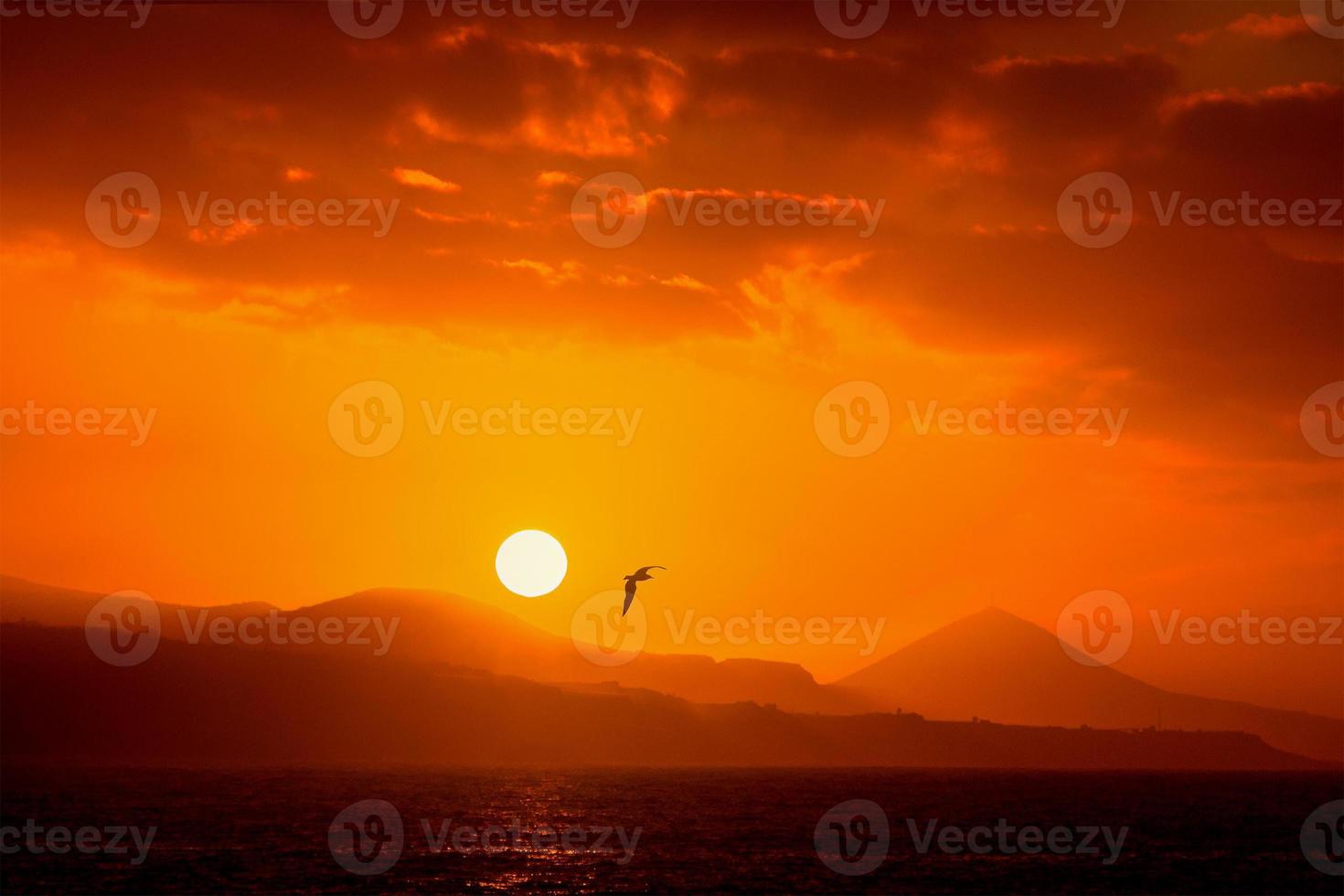 isole canarie, gran canaria, spagna foto