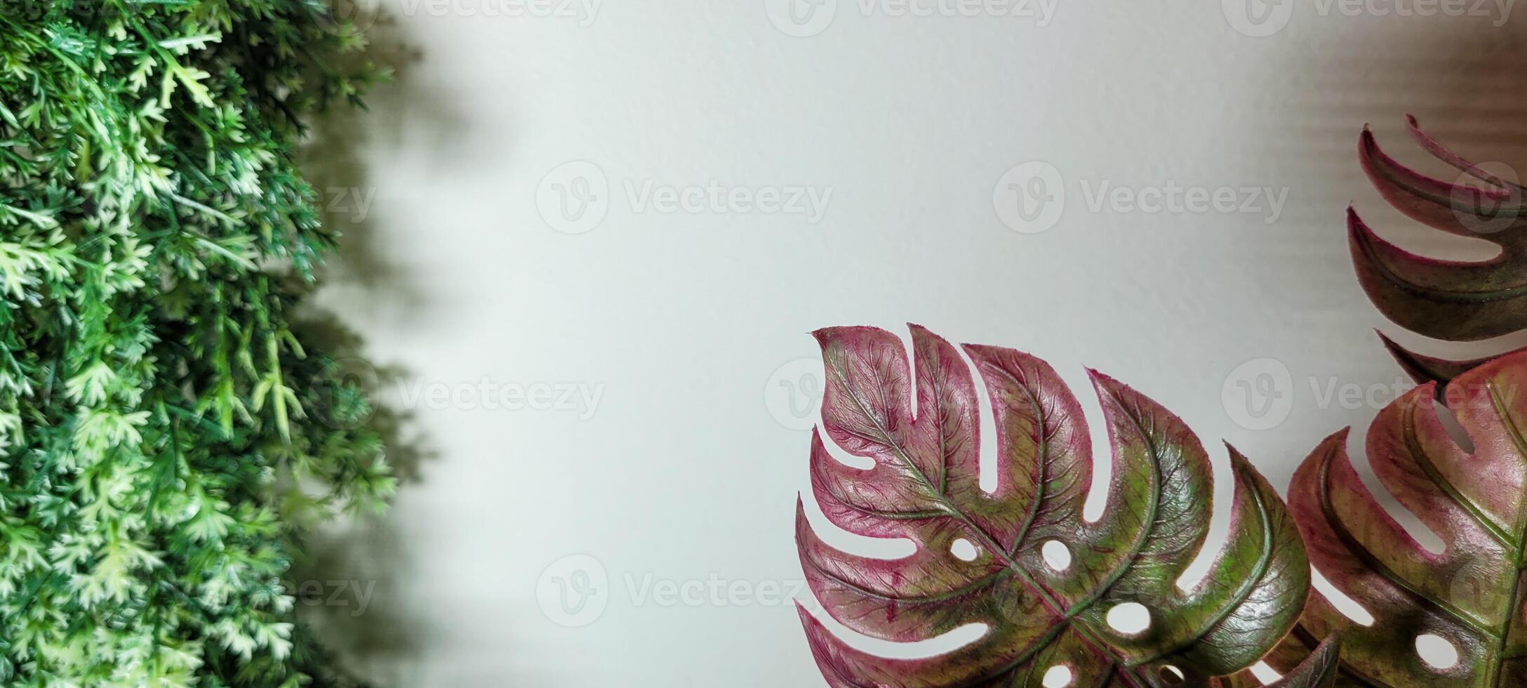 tropicale pianta con verde le foglie foto