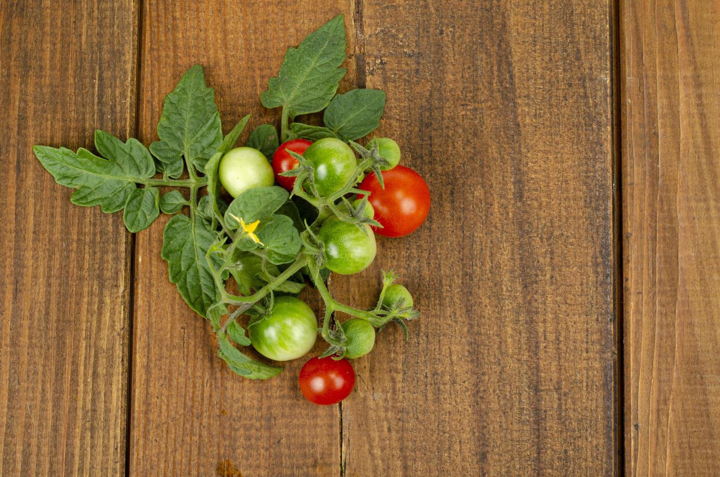 ramo di pomodorini con frutti rossi e verdi su fondo di legno. foto in studio