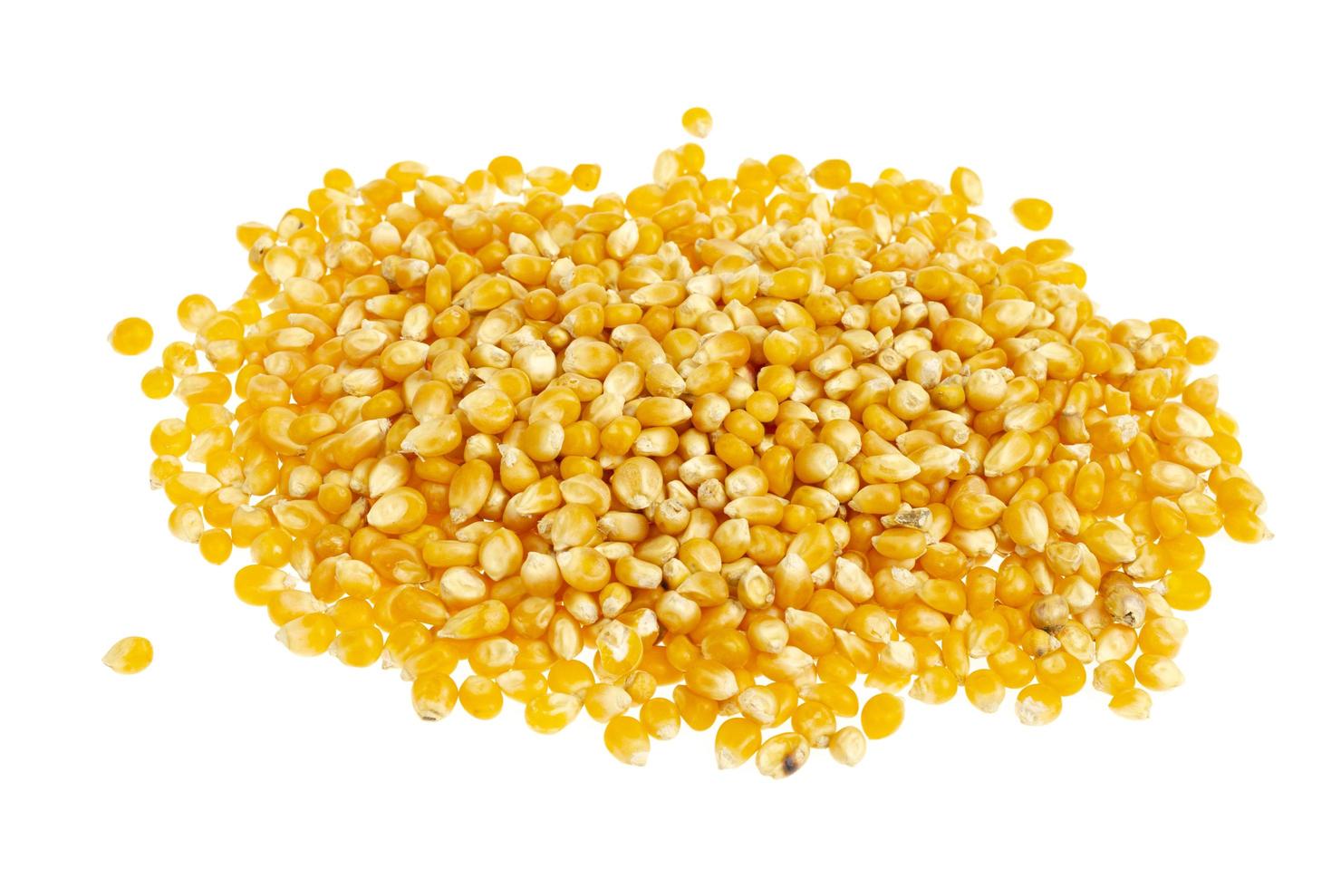 mucchio di chicchi di mais gialli secchi isolati su sfondo bianco foto