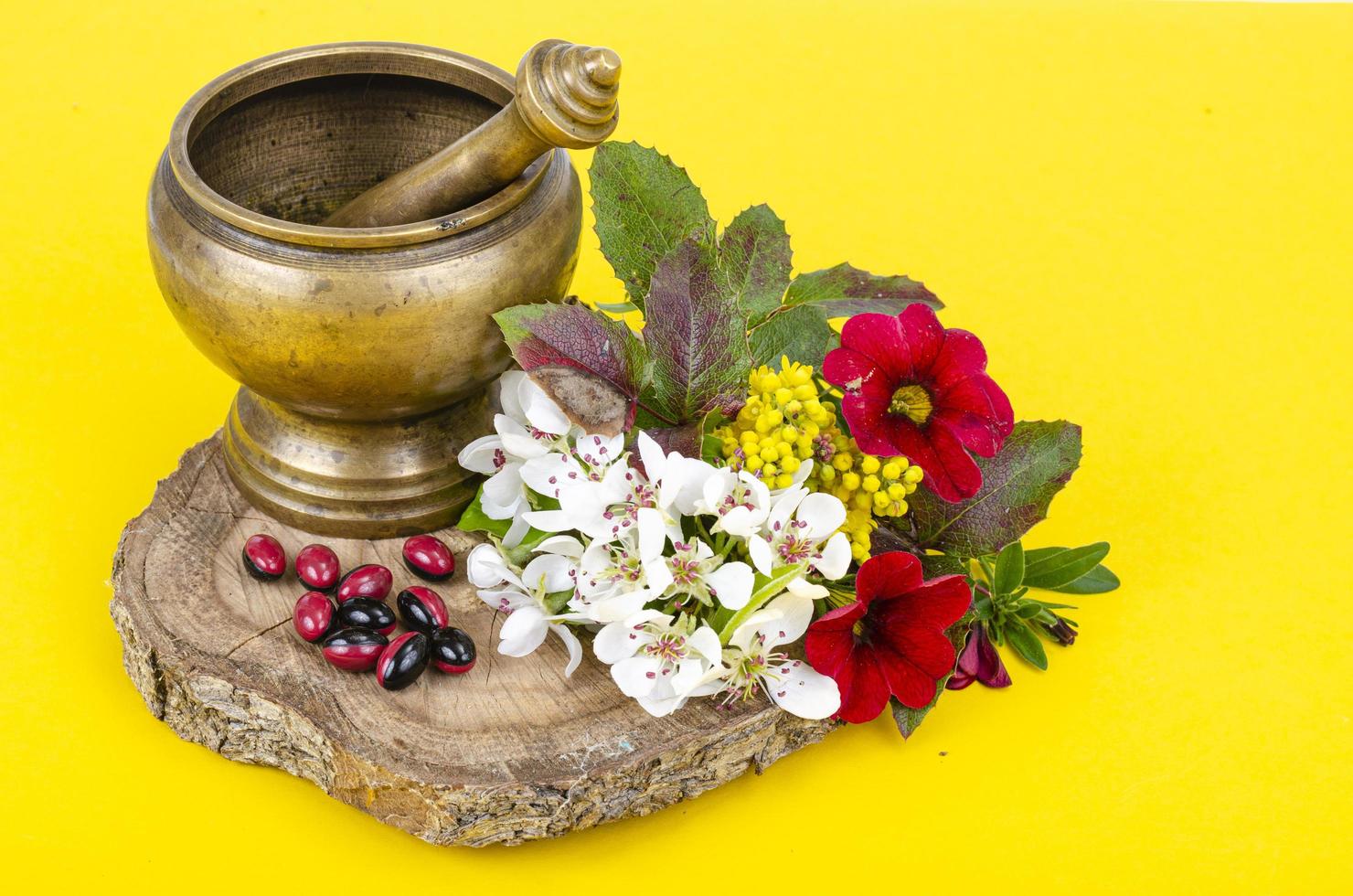 uso delle piante medicinali nella medicina alternativa. foto in studio