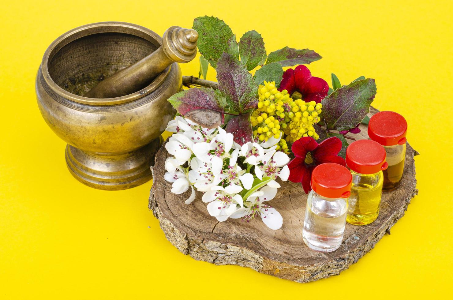 uso delle piante medicinali nella medicina alternativa. foto in studio