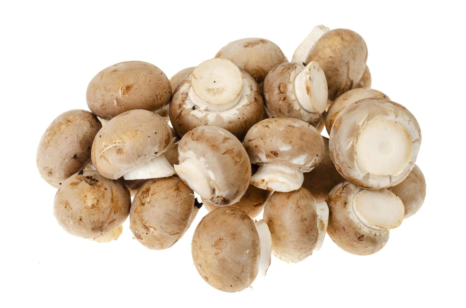 mucchio di champignon reali marroni su sfondo bianco foto