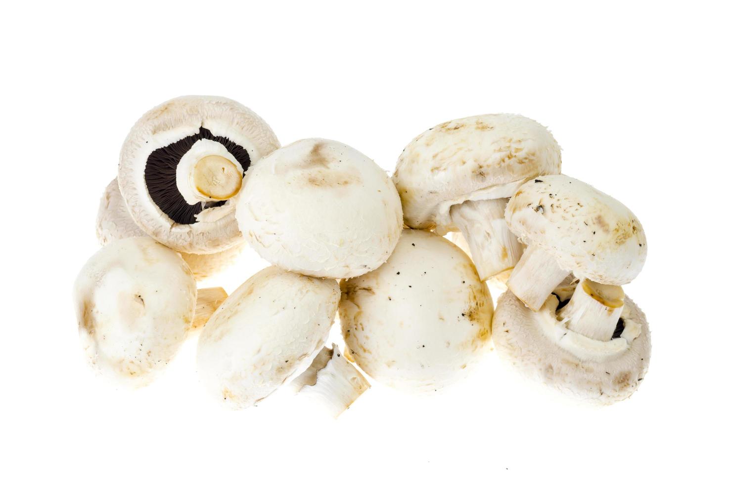 mazzo di funghi champignon freschi isolati su sfondo bianco. foto
