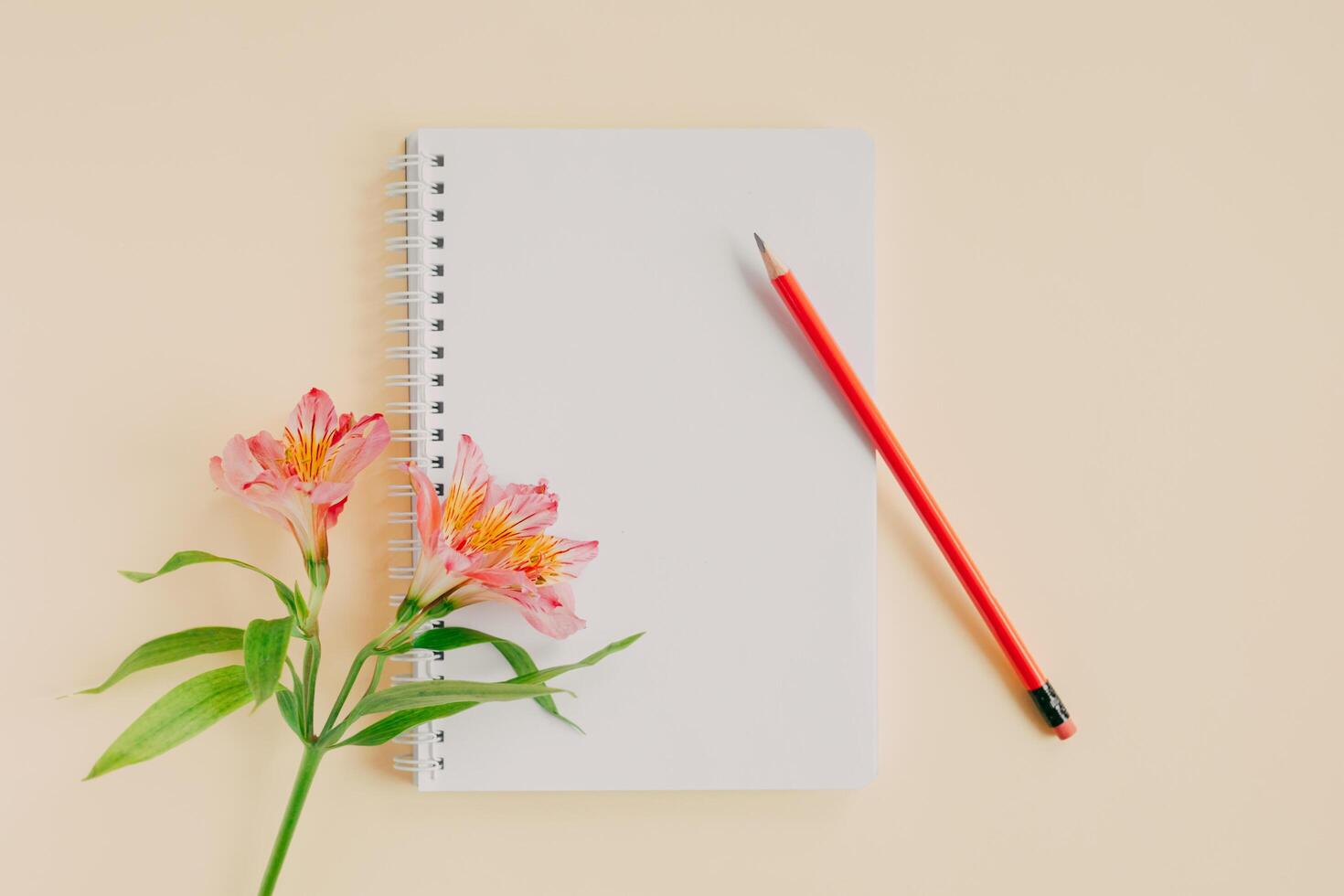 taccuino con vuoto pagina, rosa fiore e matita su leggero giallo sfondo. foto