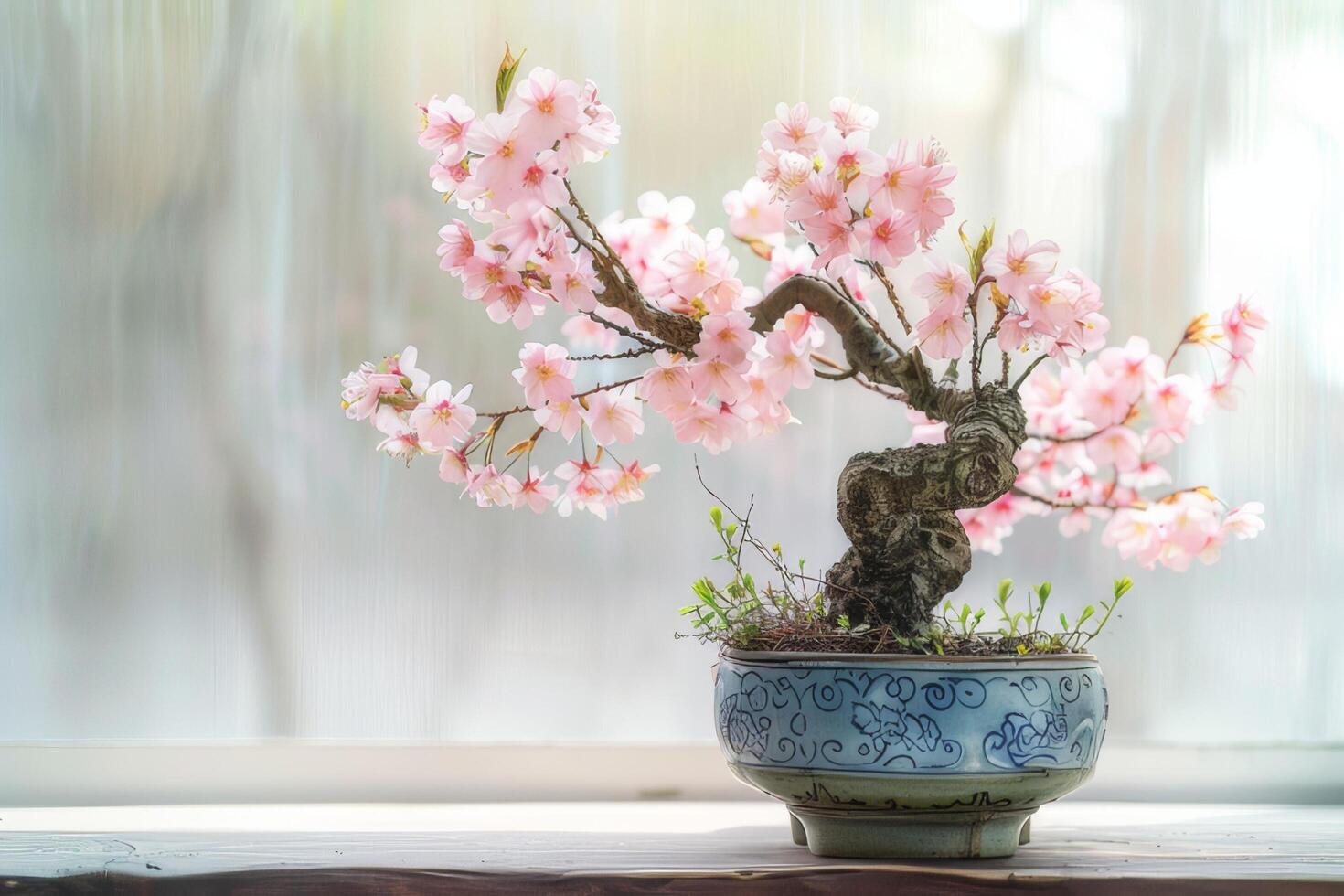 mini ciliegia albero nel un' decorativo pentola esso ha delicato rosa fiori. foto