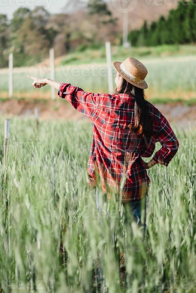 contadino indossare un' cannuccia cappello e rosso plaid camicia punti su in il distanza, monitoraggio il progresso di colture nel un' verde campo. foto