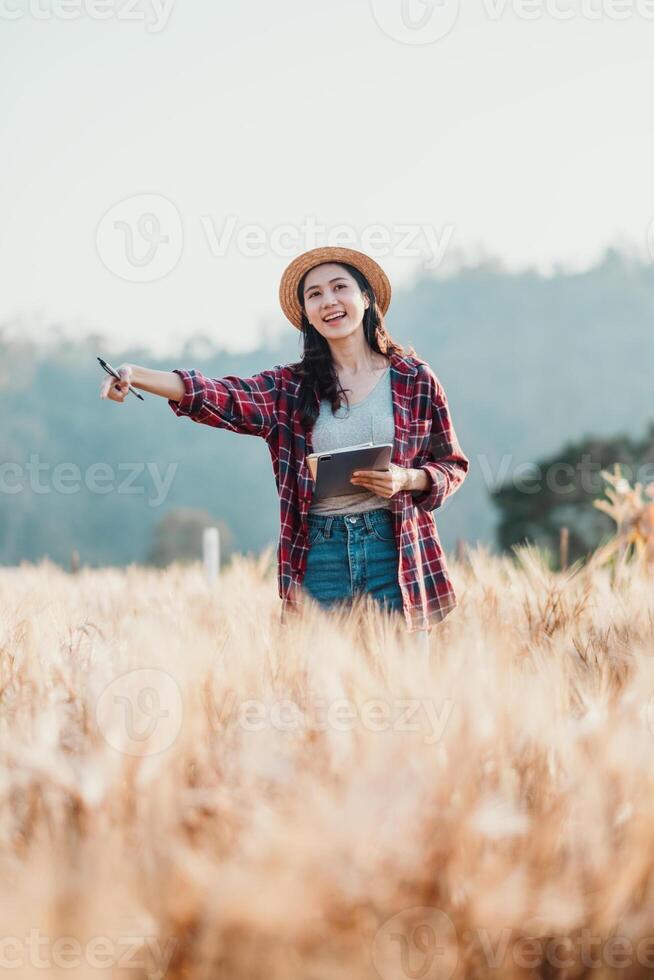 entusiasta contadino punti su dettagli nel il Grano campo mentre Tenere un' digitale tavoletta su un' soleggiato giorno. foto