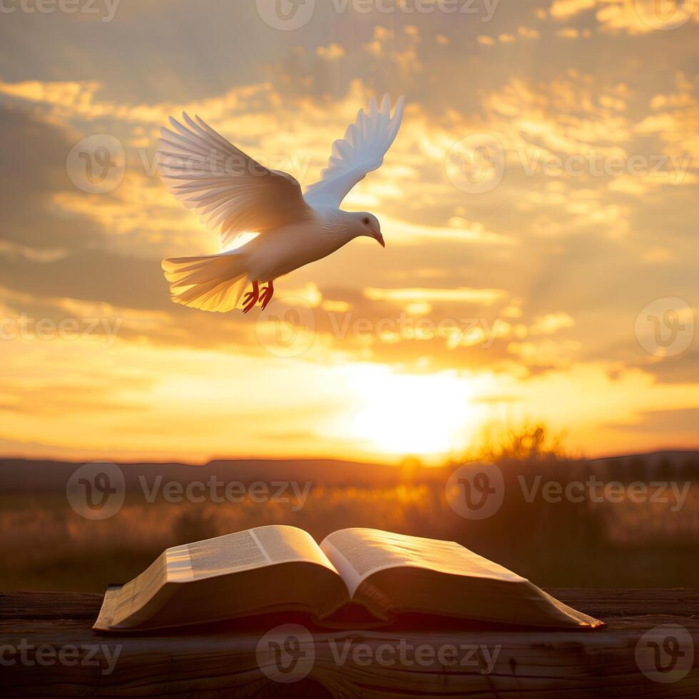 volante colomba sopra un ha aperto libro. il santo spirito appare al di sopra di il Bibbia foto