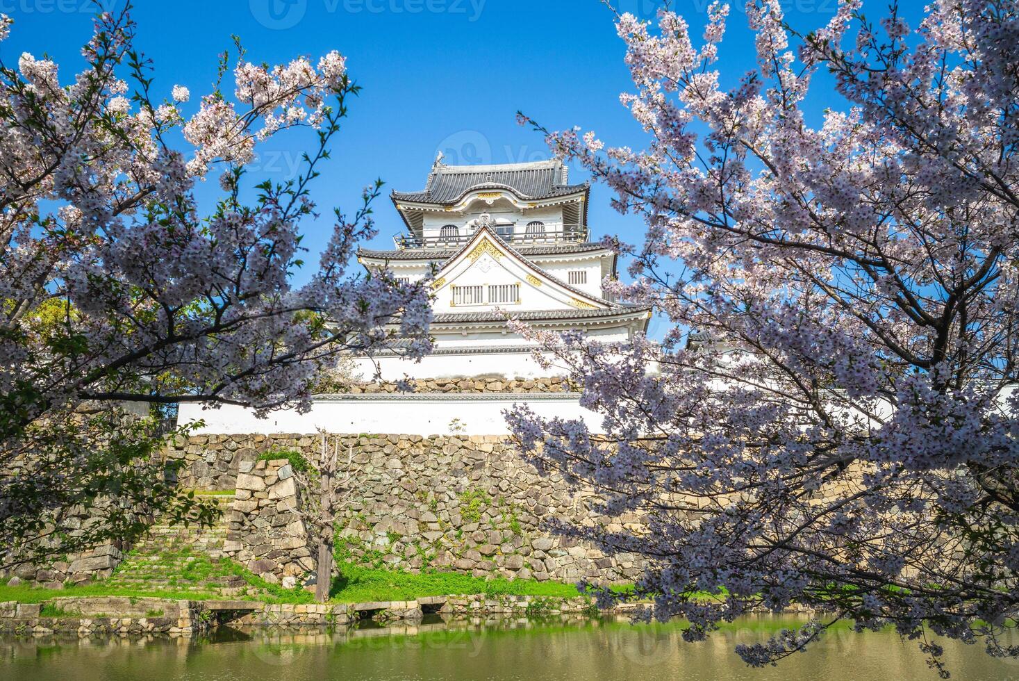 kishiwada castello, un' giapponese castello collocato nel kishiwada città, osaka, Giappone. foto