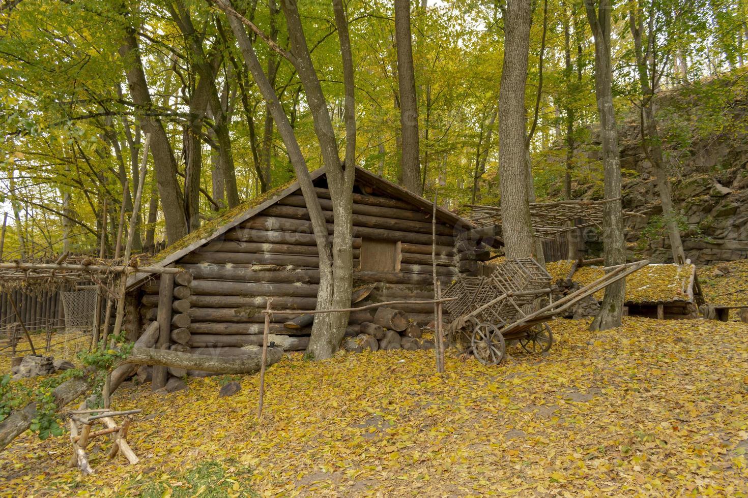 vecchia capanna di legno nella foresta autunnale cosparsa di foglie foto