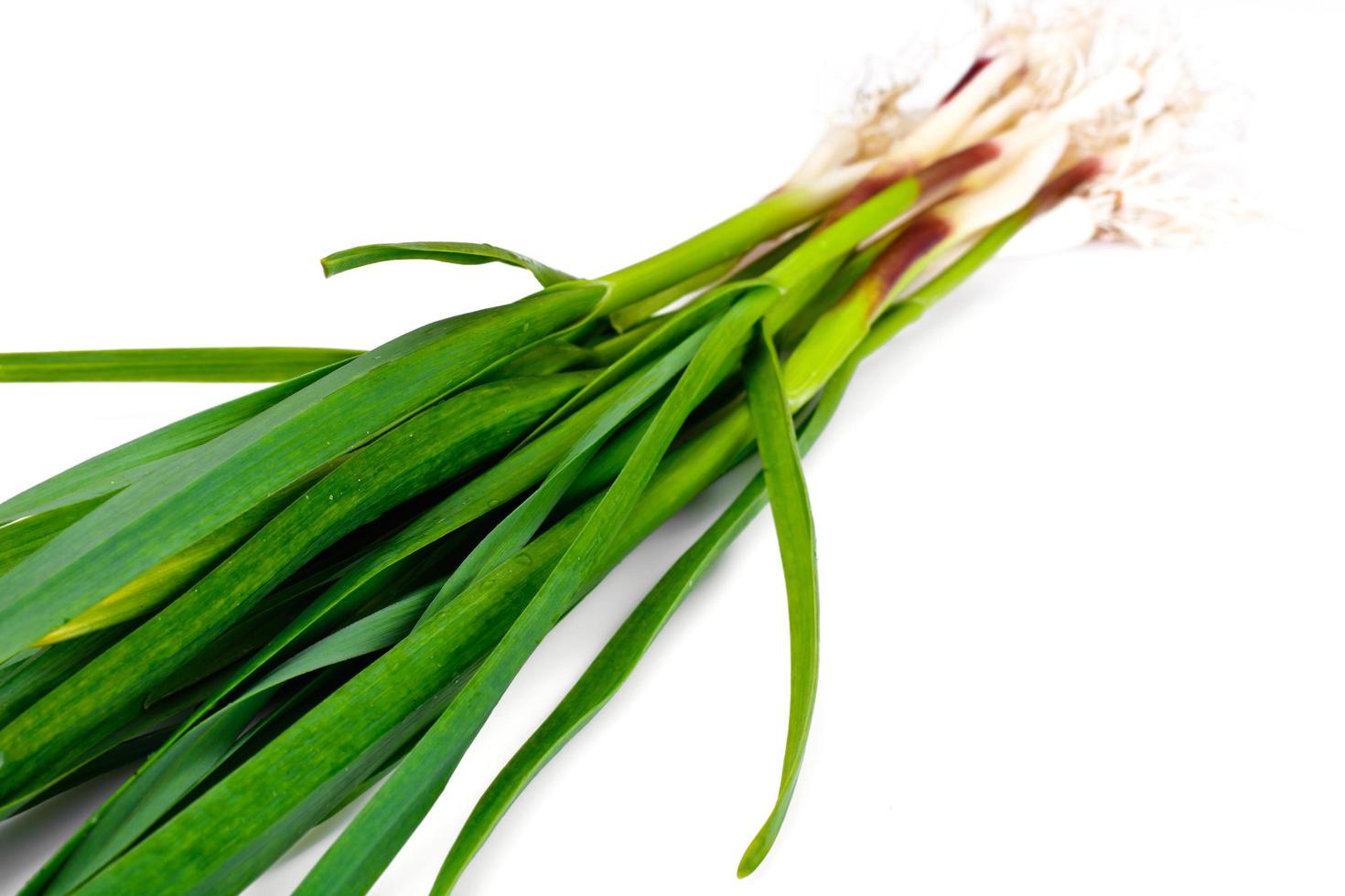 aglio verde su sfondo bianco foto