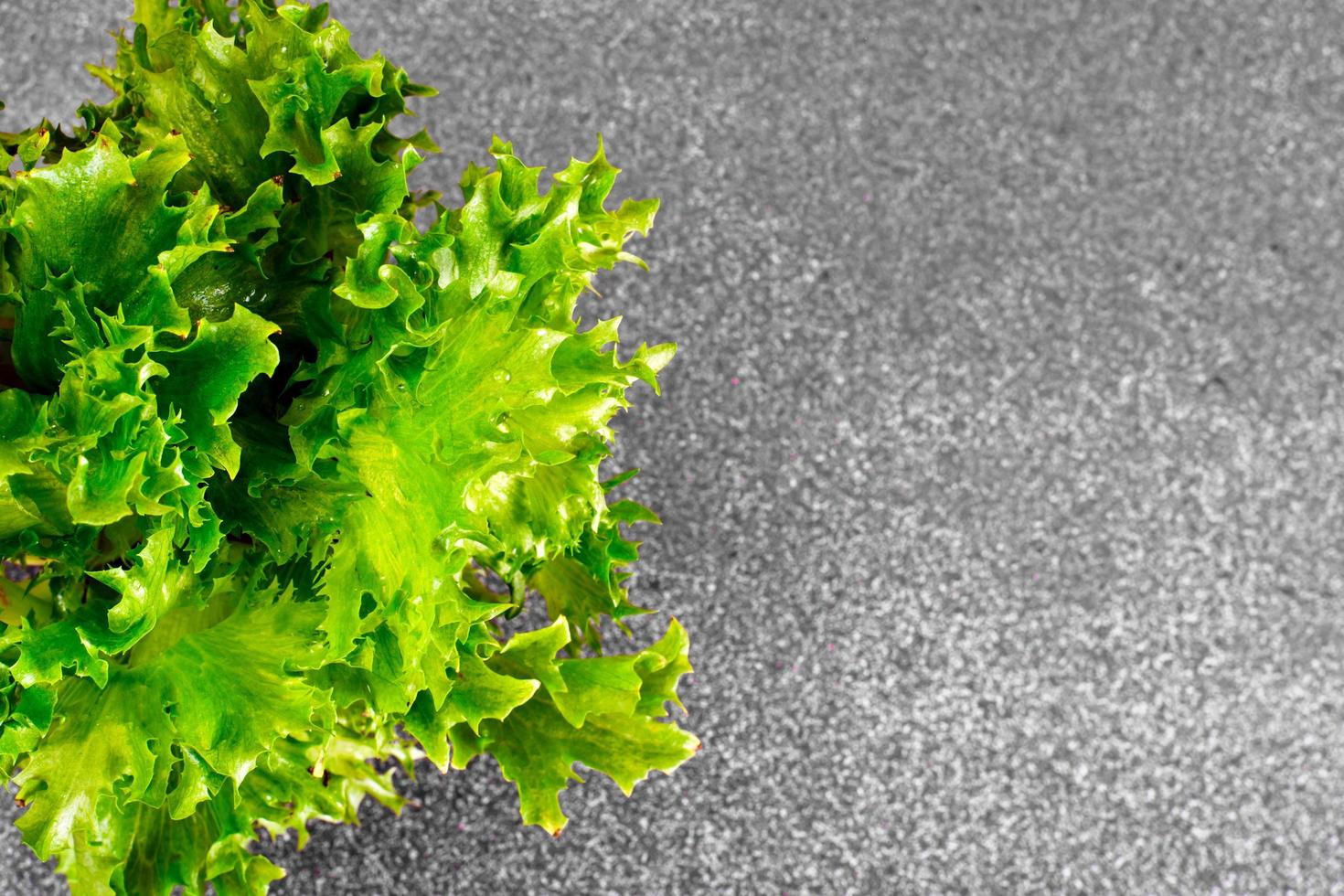 lattuga fresca verde foto