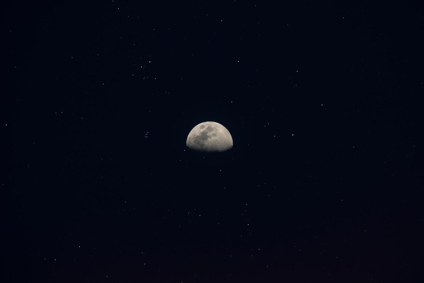 il metà Luna nel il notte. foto