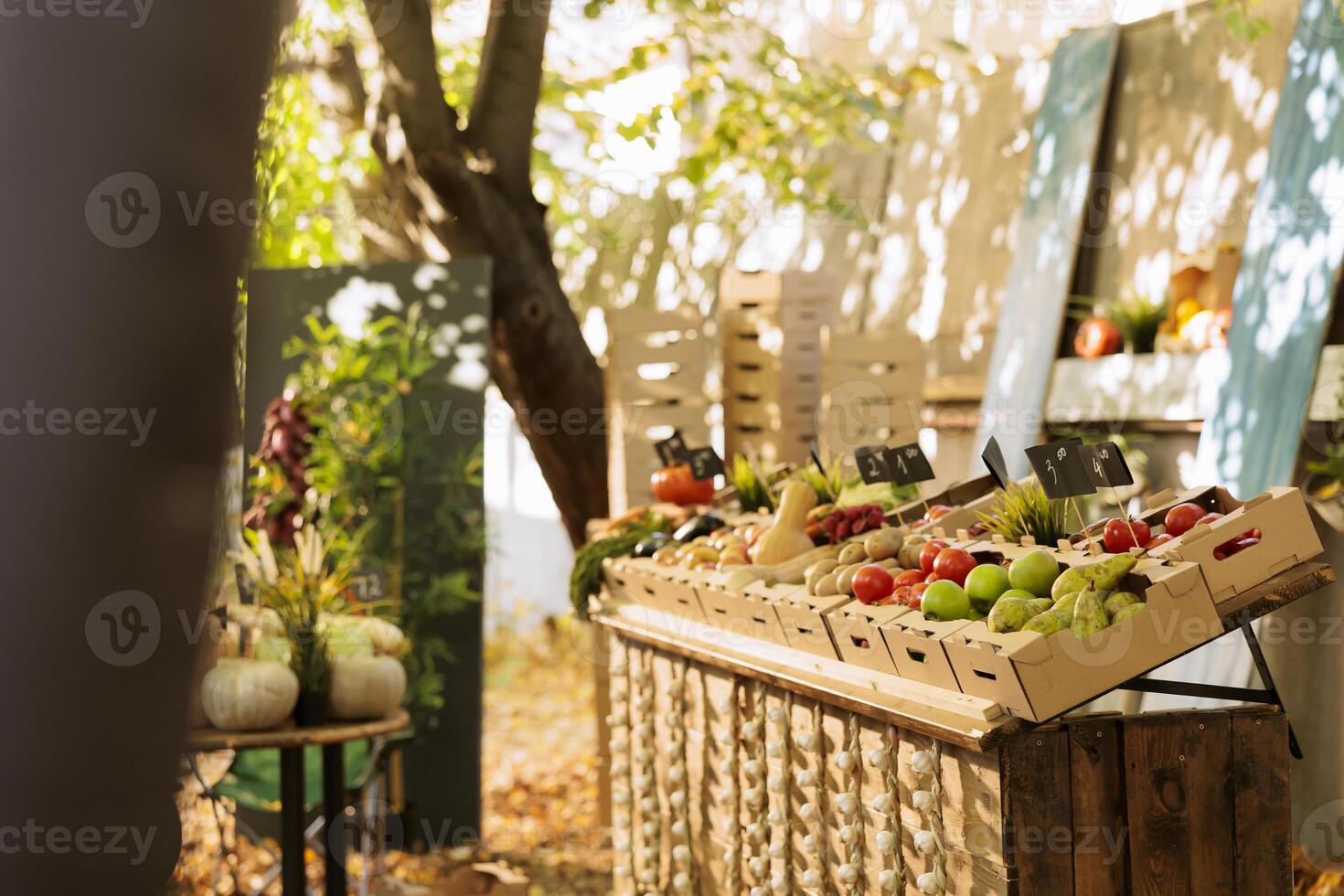 vivace biologico frutta e verdure a il agricoltori mercato, un' vacante piccolo attività commerciale spazio qui vicino. naturale, homegrown produrre con prezzo tag è a disposizione a il cibo mercato, lungo con bio prodotti. foto