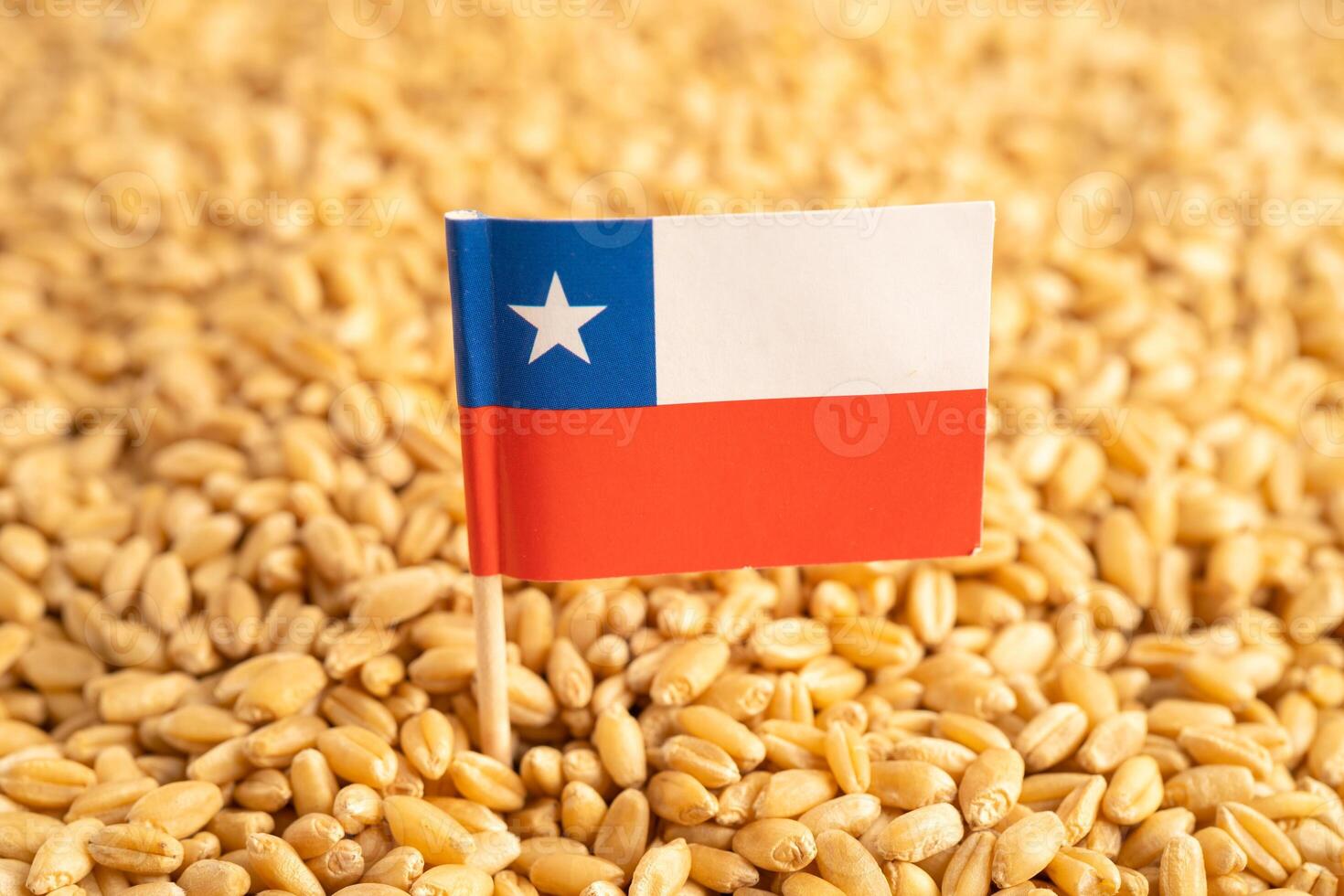 cereali Grano con chile bandiera, commercio esportare e economia. foto