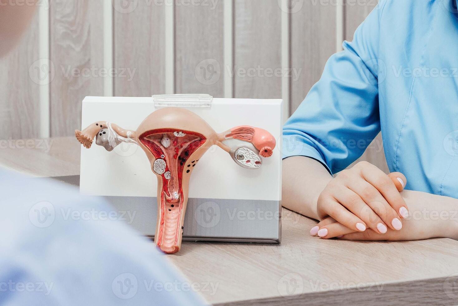 utero, medico Tenere anatomia modello per studia diagnosi e trattamento nel Ospedale. riproduttore femmina sistema ginecologico malattie concetto foto