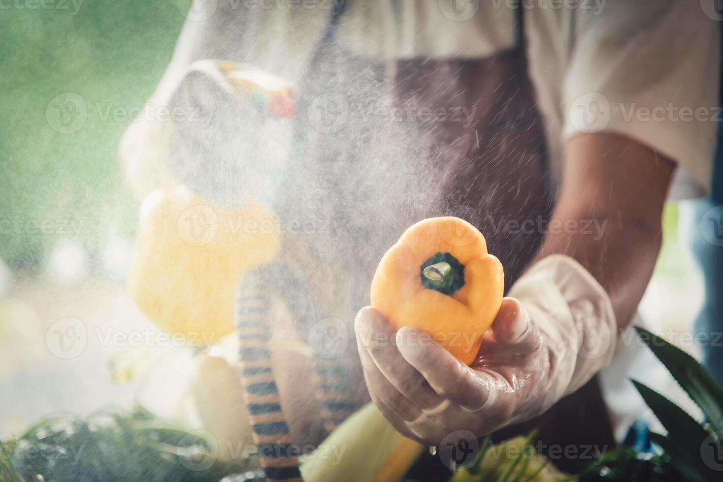 contadino in piedi nel il azienda agricola e Selezione verdure per saldi. selettivo messa a fuoco foto