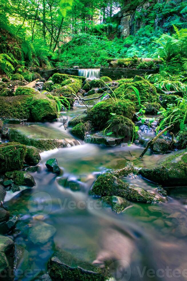 foresta ruscello in esecuzione al di sopra di muschioso rocce. foto