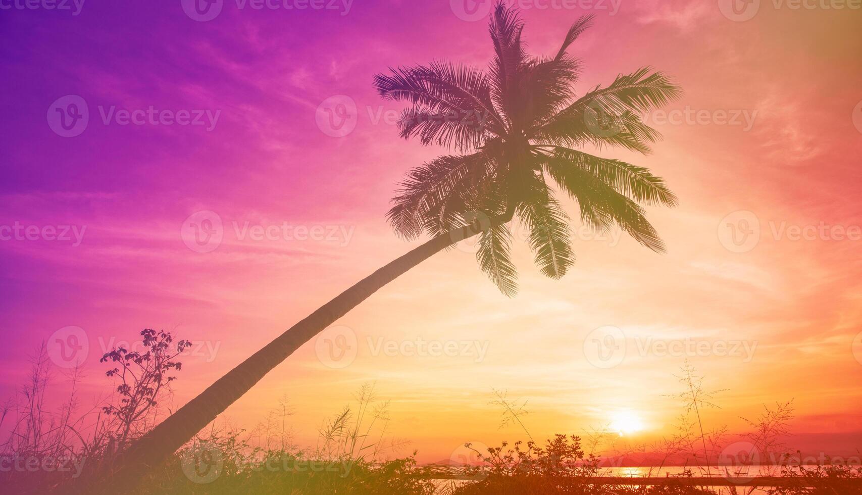 silhouette palme da cocco sulla spiaggia al tramonto. tono vintage. foto