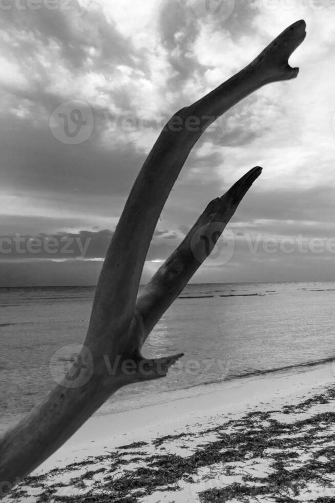 tiro di il drammatico Alba di il mare. natura foto