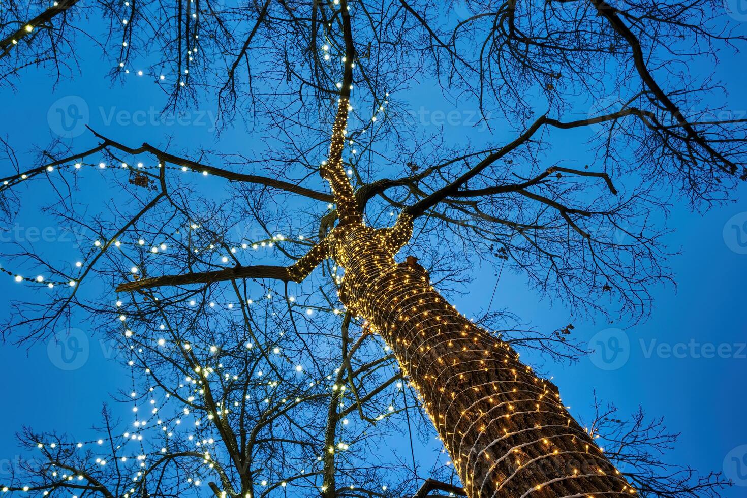un' albero decorato con festivo ghirlande bulbi contro il sfondo di il notte cielo. foto