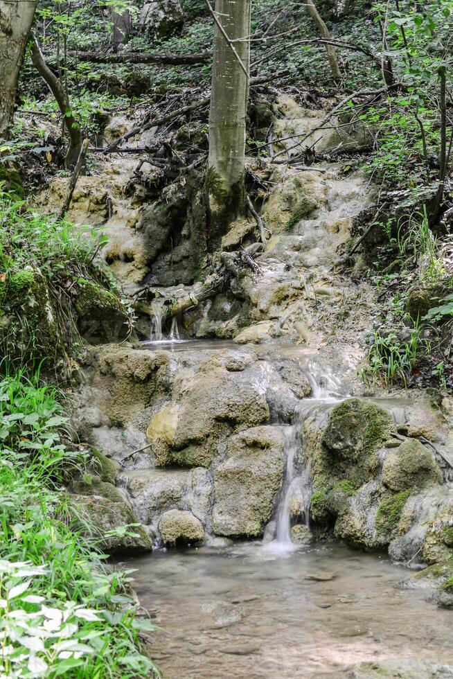 montagna ruscello nel il foresta - lungo esposizione e fluente acqua foto