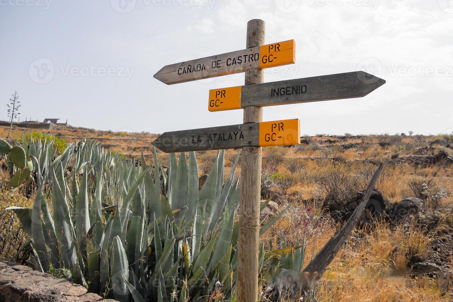 meraviglioso angoli di nonna canaria, maspalomi, roque Nublo, las palma, puerto mogano, mirador del balcone, e playa de amadores foto