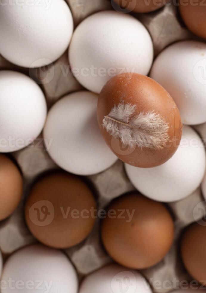 uovo sfondo. bianca e Marrone uova nel un' vassoio. proteina cibo. eco organico. foto