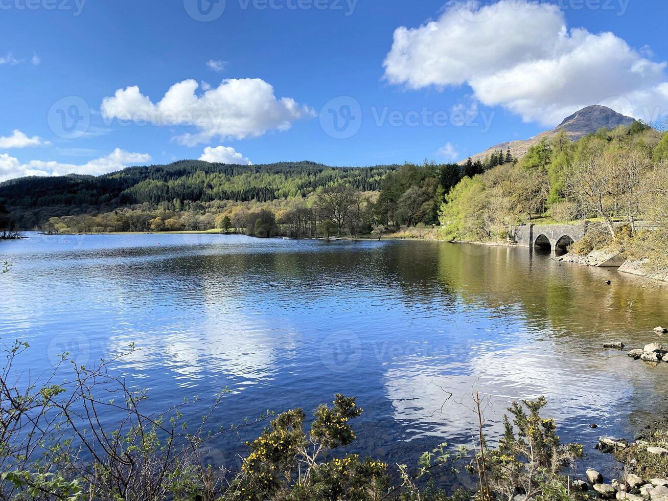 un' Visualizza di lago lomond nel Scozia su un' soleggiato giorno foto