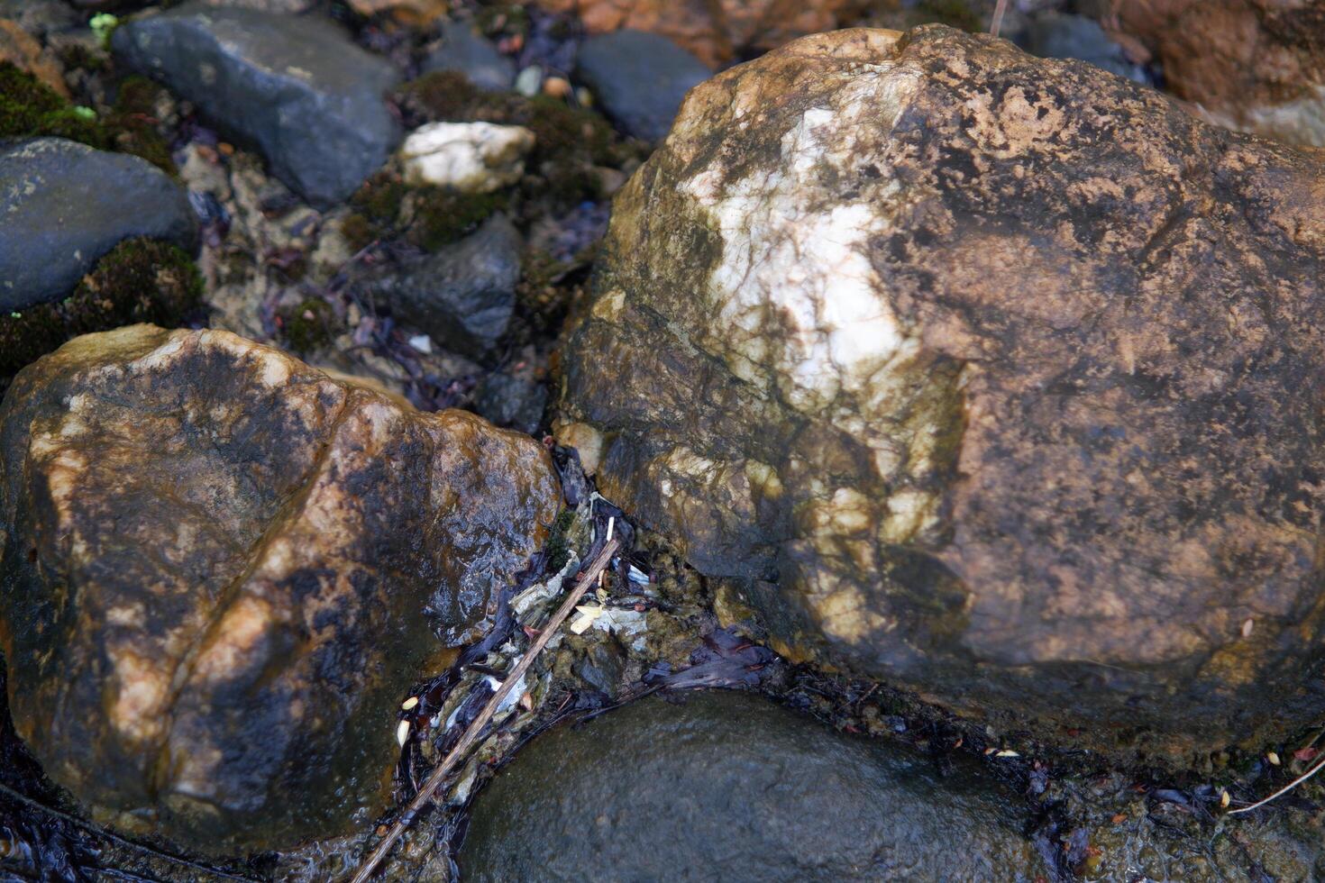 fotografia di vicino su di bianca muschioso rocce nel il fiume foto