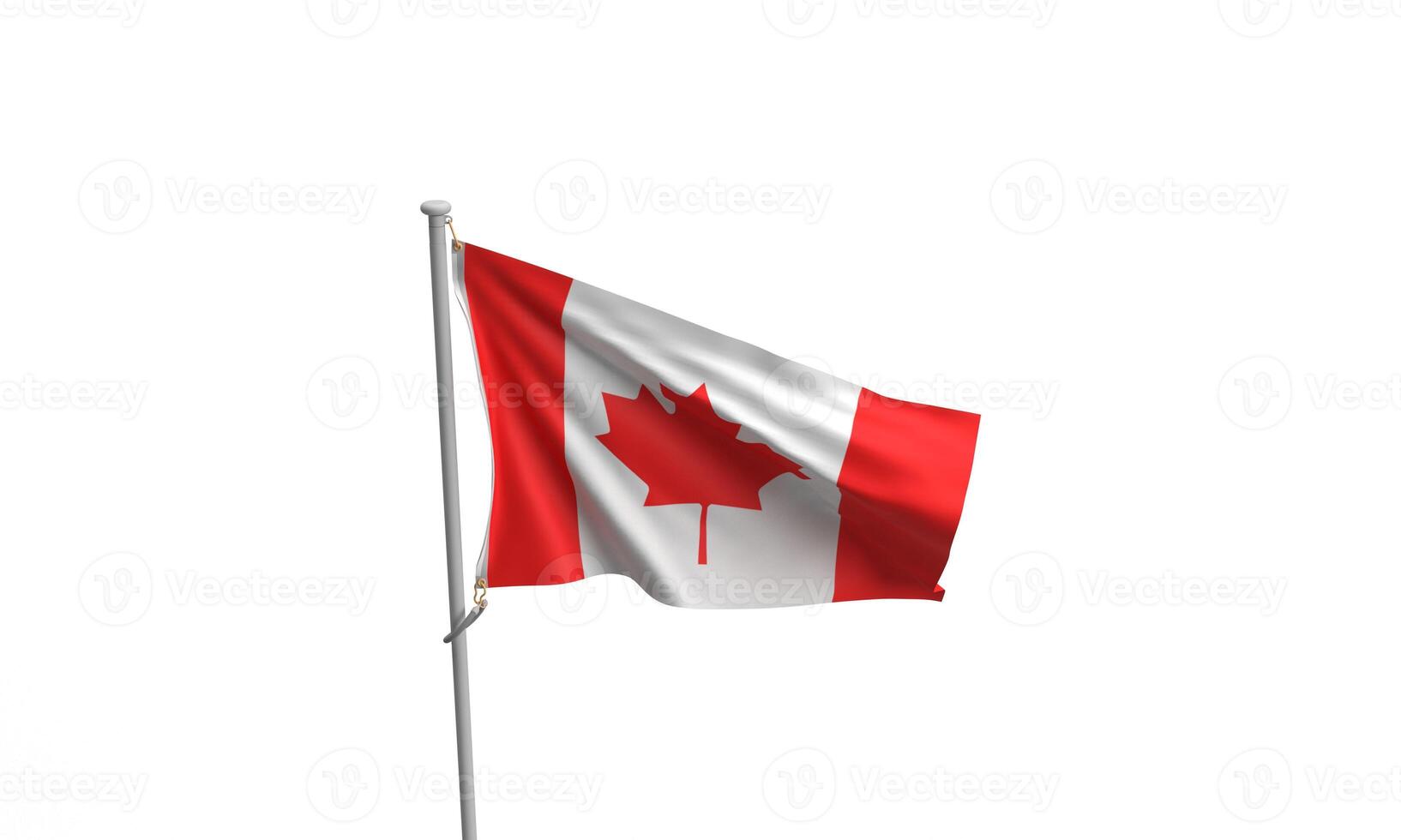 Canada bandiera vacanza celebrazione rosso bianca acero albero foglia bianca rosso colore canadese persona persone vacanza evento 1 primo st luglio mese evento manifesto cartello Festival Canada memoriale orgoglio storia Canada foto