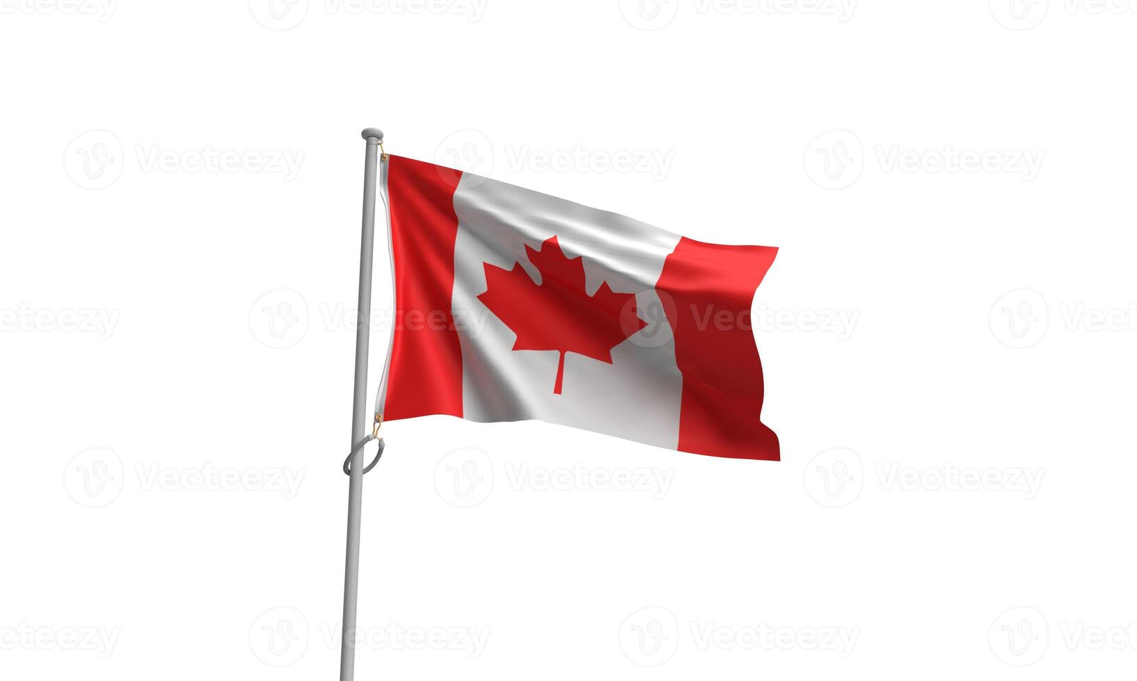 Canada bandiera albero acero foglia rosso bianca colore celebrazione patriottismo nazionale canadese nazionale indipendenza Canada giorno orgoglio estate emblema natrional bandiera evento storia saluto cultura Canada giorno foto