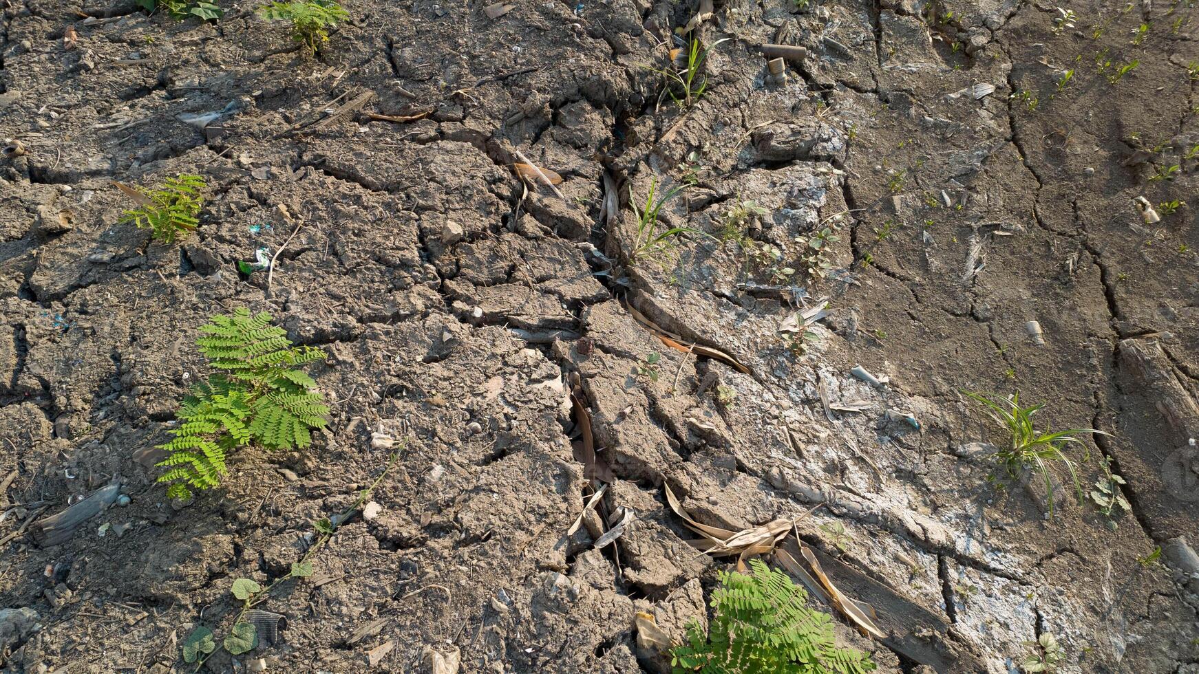 ambiente natura clima globale terra modificare riscaldamento inquinamento ecologia modificare globale riscaldamento concetto tempo metereologico pianeta caldo disastro calore acqua sociale problema all'aperto pianta energia industria protezione foto